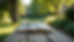 Close-up view of a peaceful garden bench with a Bible and glasses resting on it