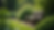 High angle view of a peaceful garden bench surrounded by greenery